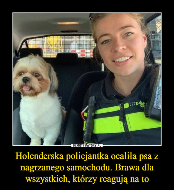 Holenderska policjantka ocaliła psa z nagrzanego samochodu. Brawa dla wszystkich, którzy reagują na to –  