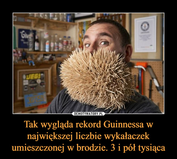 Tak wygląda rekord Guinnessa w największej liczbie wykałaczek umieszczonej w brodzie. 3 i pół tysiąca –  