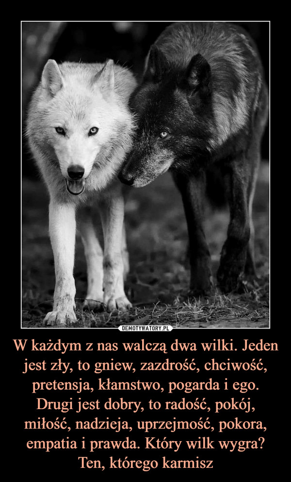 W każdym z nas walczą dwa wilki. Jeden jest zły, to gniew, zazdrość, chciwość, pretensja, kłamstwo, pogarda i ego. Drugi jest dobry, to radość, pokój, miłość, nadzieja, uprzejmość, pokora, empatia i prawda. Który wilk wygra? Ten, którego karmisz –  
