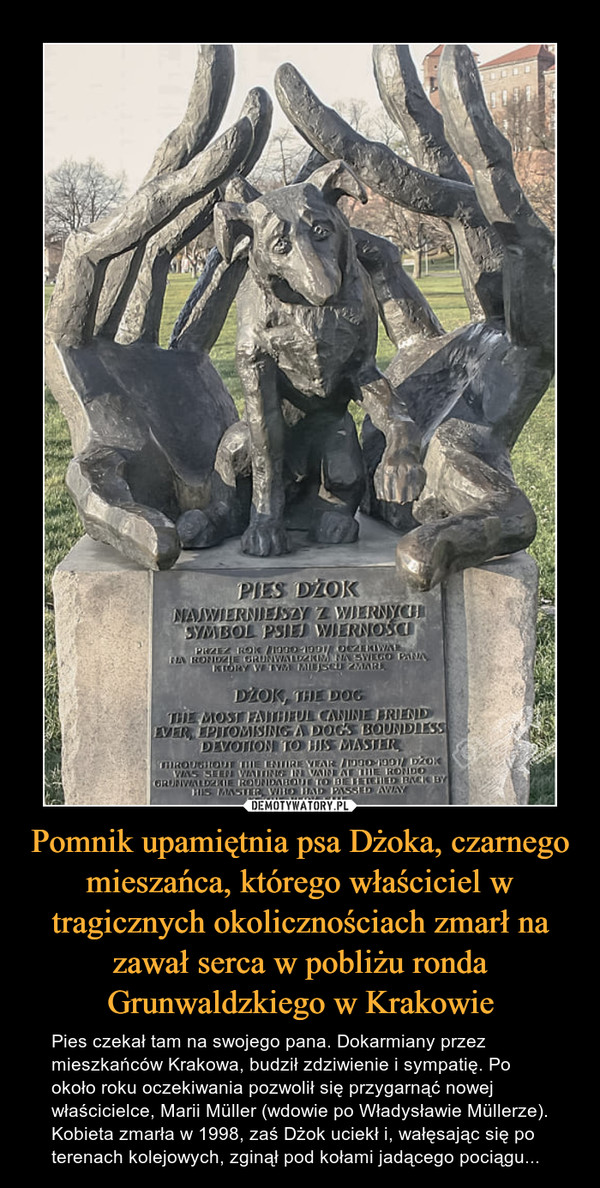 Pomnik upamiętnia psa Dżoka, czarnego mieszańca, którego właściciel w tragicznych okolicznościach zmarł na zawał serca w pobliżu ronda Grunwaldzkiego w Krakowie