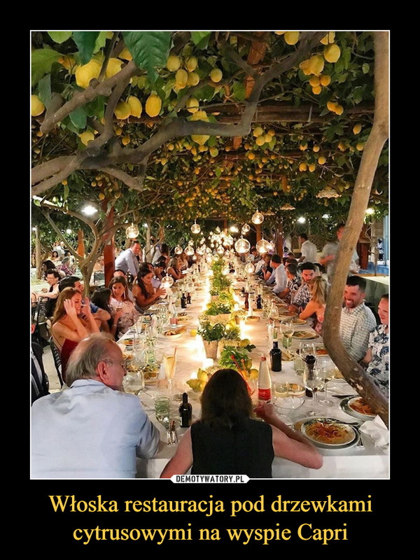 Włoska restauracja pod drzewkami cytrusowymi na wyspie Capri