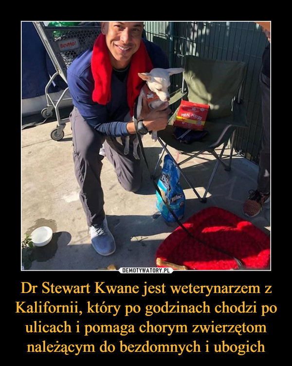 Dr Stewart Kwane jest weterynarzem z Kalifornii, który po godzinach chodzi po ulicach i pomaga chorym zwierzętom należącym do bezdomnych i ubogich –  