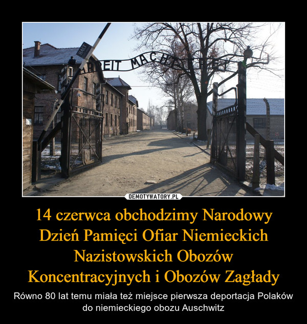 14 czerwca obchodzimy Narodowy Dzień Pamięci Ofiar Niemieckich Nazistowskich Obozów Koncentracyjnych i Obozów Zagłady