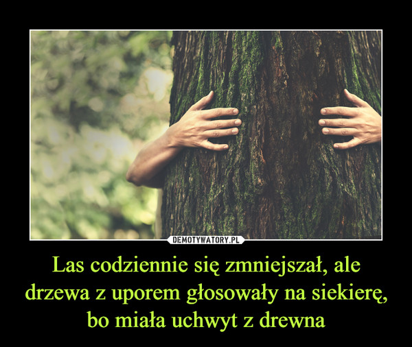 Las codziennie się zmniejszał, ale drzewa z uporem głosowały na siekierę, bo miała uchwyt z drewna –  