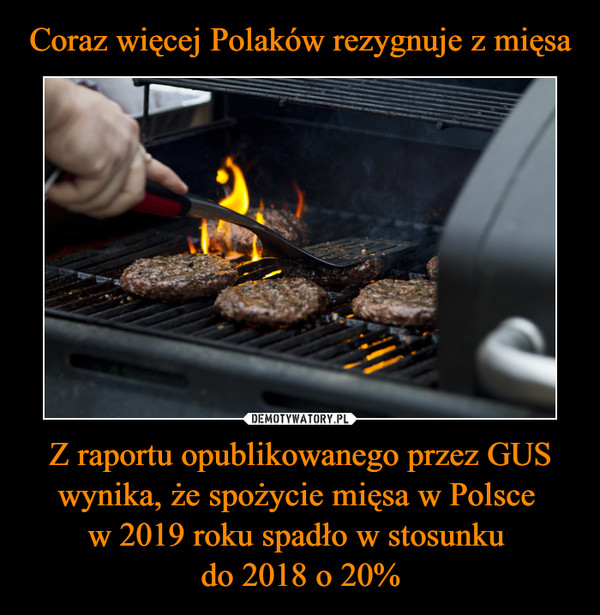 Z raportu opublikowanego przez GUS wynika, że spożycie mięsa w Polsce w 2019 roku spadło w stosunku do 2018 o 20% –  