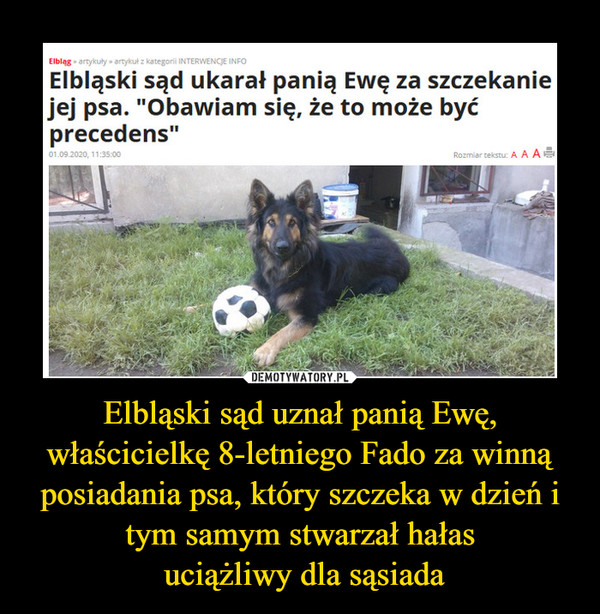 Elbląski sąd uznał panią Ewę, właścicielkę 8-letniego Fado za winną posiadania psa, który szczeka w dzień i tym samym stwarzał hałas uciążliwy dla sąsiada –  