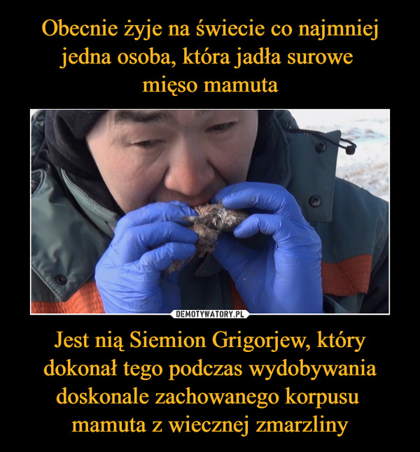 Obecnie żyje na świecie co najmniej jedna osoba, która jadła surowe 
mięso mamuta Jest nią Siemion Grigorjew, który dokonał tego podczas wydobywania doskonale zachowanego korpusu 
mamuta z wiecznej zmarzliny