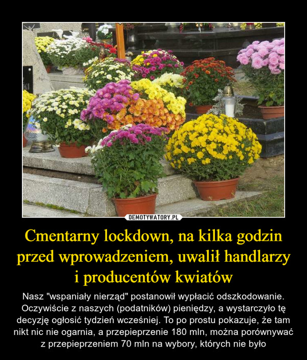 Cmentarny lockdown, na kilka godzin przed wprowadzeniem, uwalił handlarzy i producentów kwiatów