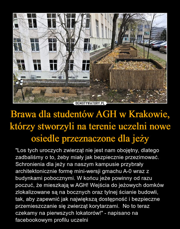 Brawa dla studentów AGH w Krakowie, którzy stworzyli na terenie uczelni nowe osiedle przeznaczone dla jeży – "Los tych uroczych zwierząt nie jest nam obojętny, dlatego zadbaliśmy o to, żeby miały jak bezpiecznie przezimować. Schronienia dla jeży na naszym kampusie przybrały architektonicznie formę mini-wersji gmachu A-0 wraz z budynkami pobocznymi. W końcu jeże powinny od razu poczuć, że mieszkają w AGH! Wejścia do jeżowych domków zlokalizowane są na bocznych oraz tylnej ścianie budowli, tak, aby zapewnić jak największą dostępność i bezpieczne przemieszczanie się zwierząt korytarzami.  No to teraz czekamy na pierwszych lokatorów!" - napisano na facebookowym profilu uczelni 