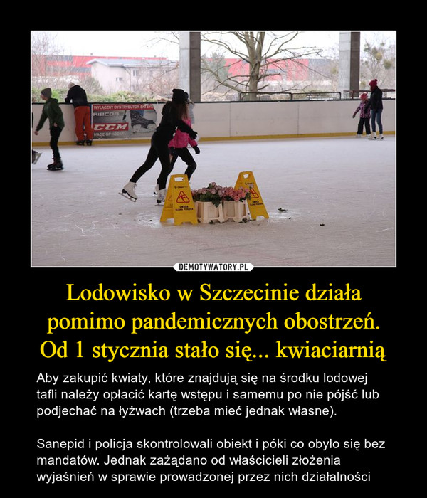 Lodowisko w Szczecinie działa
pomimo pandemicznych obostrzeń.
Od 1 stycznia stało się... kwiaciarnią