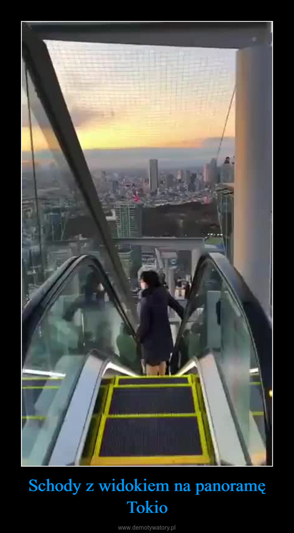 Schody z widokiem na panoramę Tokio –  