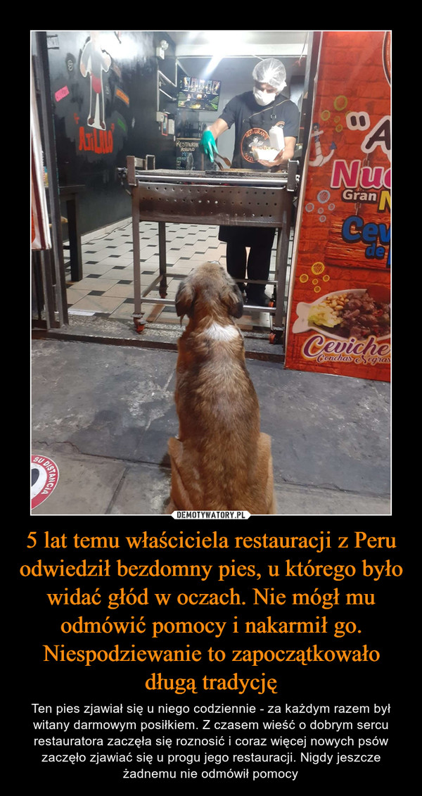 5 lat temu właściciela restauracji z Peru odwiedził bezdomny pies, u którego było widać głód w oczach. Nie mógł mu odmówić pomocy i nakarmił go. Niespodziewanie to zapoczątkowało długą tradycję
