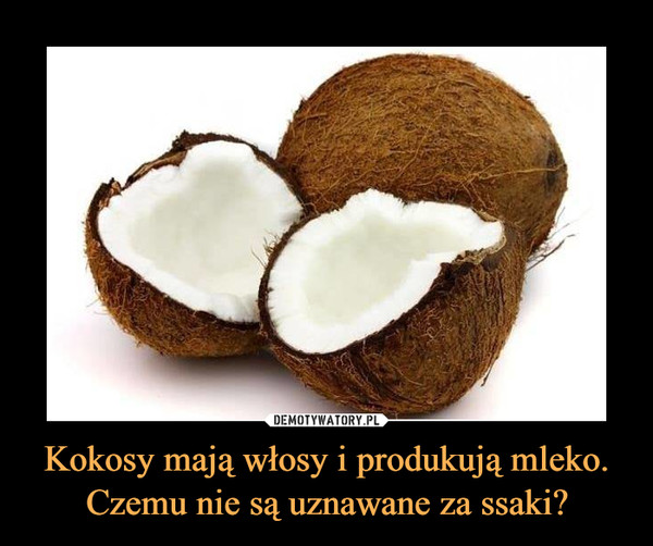 Kokosy mają włosy i produkują mleko.Czemu nie są uznawane za ssaki? –  