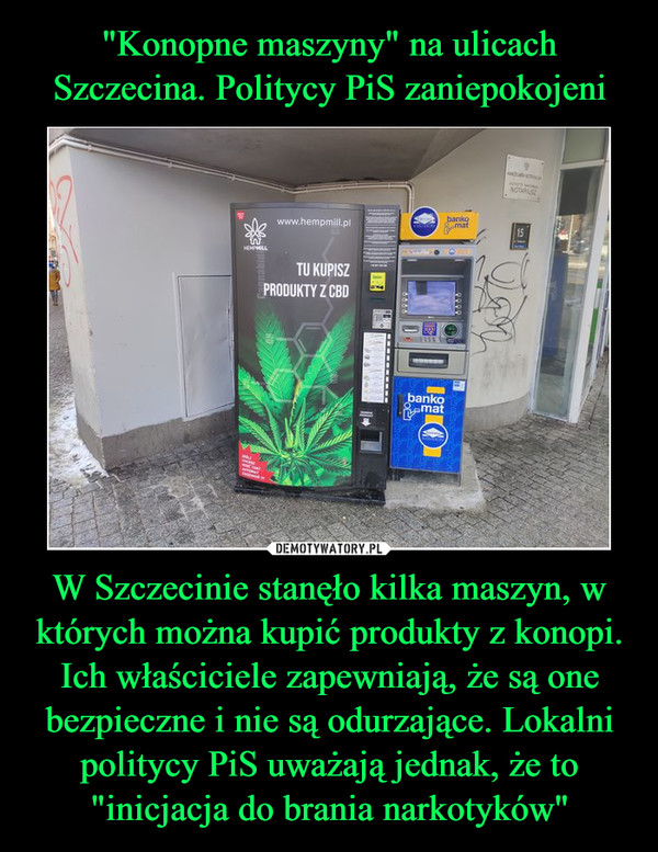 W Szczecinie stanęło kilka maszyn, w których można kupić produkty z konopi. Ich właściciele zapewniają, że są one bezpieczne i nie są odurzające. Lokalni politycy PiS uważają jednak, że to "inicjacja do brania narkotyków" –  