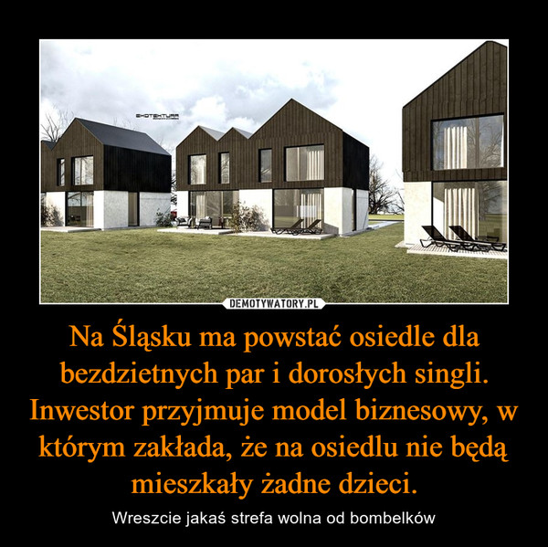 Na Śląsku ma powstać osiedle dla bezdzietnych par i dorosłych singli. Inwestor przyjmuje model biznesowy, w którym zakłada, że na osiedlu nie będą mieszkały żadne dzieci.