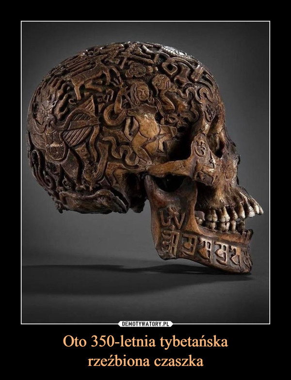 Oto 350-letnia tybetańska
rzeźbiona czaszka