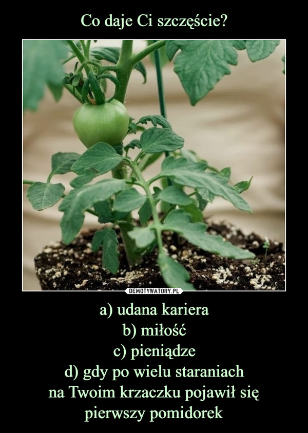 a) udana karierab) miłośćc) pieniądzed) gdy po wielu staraniachna Twoim krzaczku pojawił siępierwszy pomidorek –  