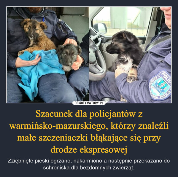 Szacunek dla policjantów z warmińsko-mazurskiego, którzy znaleźli małe szczeniaczki błąkające się przy drodze ekspresowej – Zziębnięte pieski ogrzano, nakarmiono a następnie przekazano do schroniska dla bezdomnych zwierząt. 