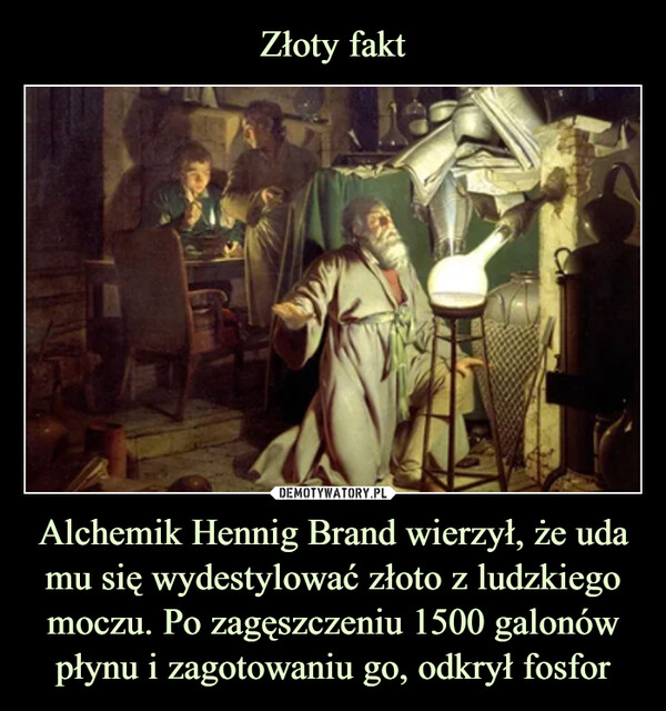 Złoty fakt Alchemik Hennig Brand wierzył, że uda mu się wydestylować złoto z ludzkiego moczu. Po zagęszczeniu 1500 galonów płynu i zagotowaniu go, odkrył fosfor