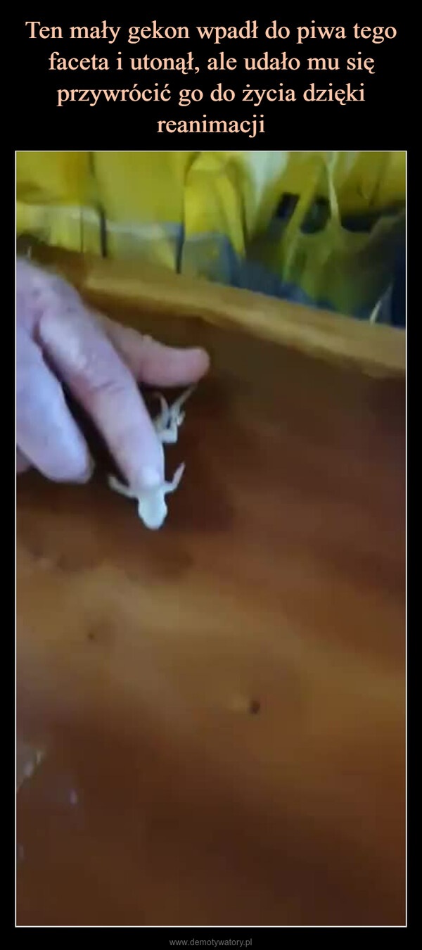  –  