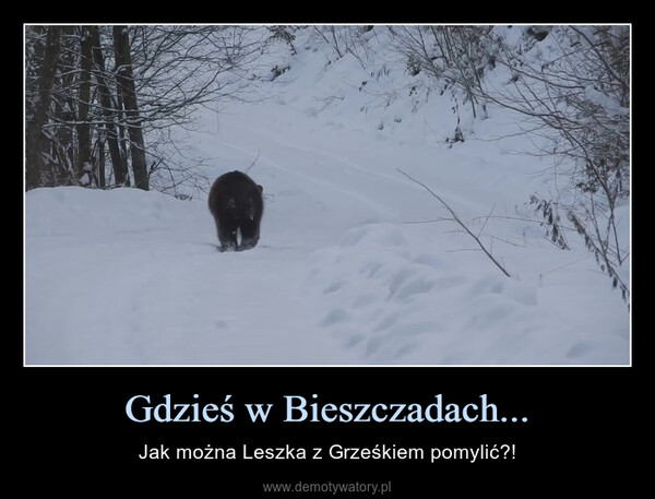 Gdzieś w Bieszczadach... – Jak można Leszka z Grześkiem pomylić?! 
