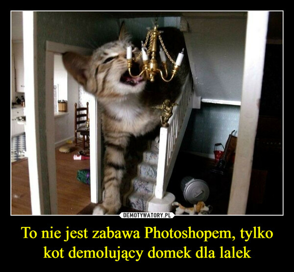 To nie jest zabawa Photoshopem, tylko kot demolujący domek dla lalek –  