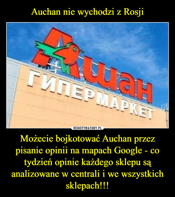 Możecie bojkotować Auchan przez pisanie opinii na mapach Google - co tydzień opinie każdego sklepu są analizowane w centrali i we wszystkich sklepach!!! –  