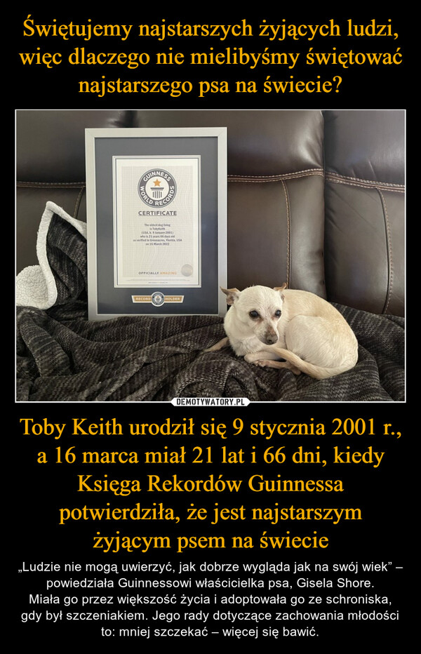 Toby Keith urodził się 9 stycznia 2001 r., a 16 marca miał 21 lat i 66 dni, kiedy Księga Rekordów Guinnessa potwierdziła, że jest najstarszym żyjącym psem na świecie – „Ludzie nie mogą uwierzyć, jak dobrze wygląda jak na swój wiek” – powiedziała Guinnessowi właścicielka psa, Gisela Shore.Miała go przez większość życia i adoptowała go ze schroniska, gdy był szczeniakiem. Jego rady dotyczące zachowania młodości to: mniej szczekać – więcej się bawić. 