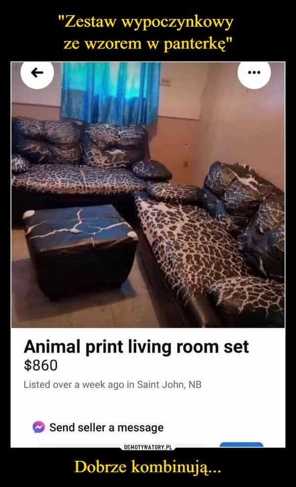 Dobrze kombinują... –  Animal print living room set