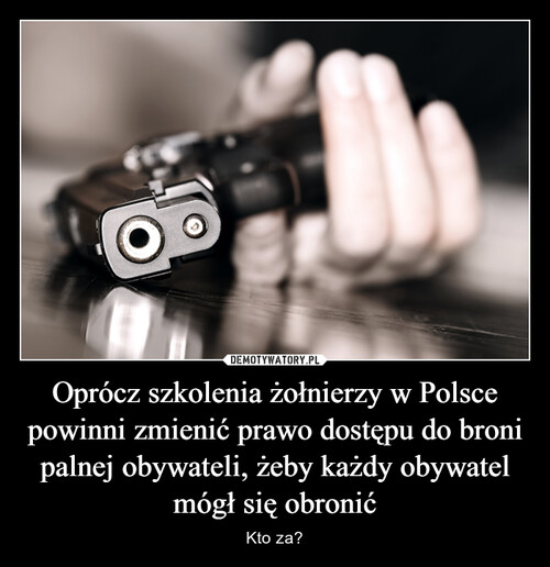 Oprócz szkolenia żołnierzy w Polsce powinni zmienić prawo dostępu do broni palnej obywateli, żeby każdy obywatel mógł się obronić