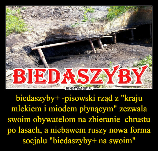 biedaszyby+ -pisowski rząd z "kraju mlekiem i miodem płynącym" zezwala swoim obywatelom na zbieranie  chrustu po lasach, a niebawem ruszy nowa forma socjalu "biedaszyby+ na swoim" –  