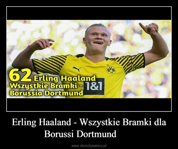 Erling Haaland - Wszystkie Bramki dla Borussi Dortmund ᴴᴰ –  