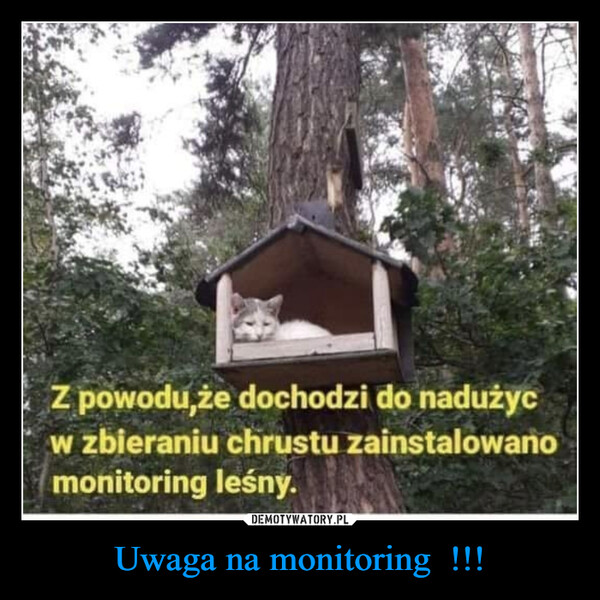 Uwaga na monitoring  !!! –  