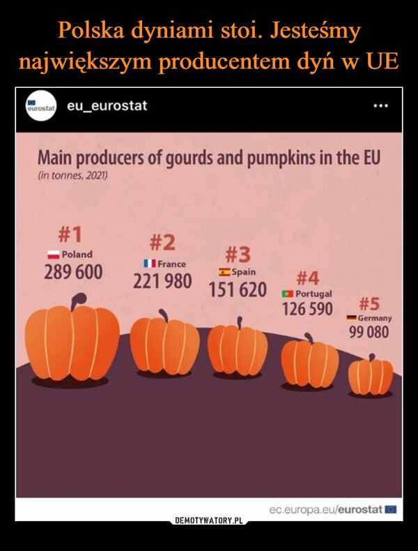 Polska dyniami stoi. Jesteśmy największym producentem dyń w UE