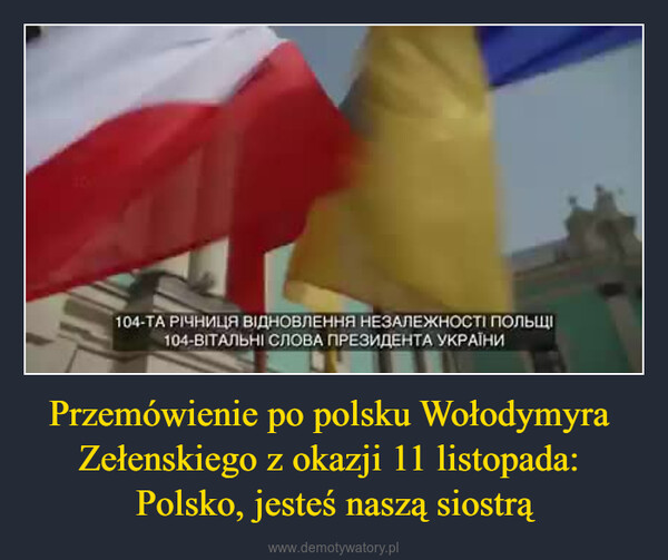 Przemówienie po polsku Wołodymyra Zełenskiego z okazji 11 listopada: Polsko, jesteś naszą siostrą –  