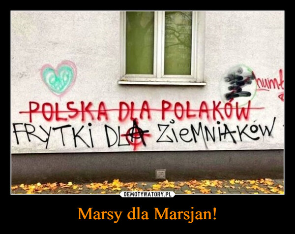 Marsy dla Marsjan! –  Polska dla PolakówFrytki dla ziemniaków