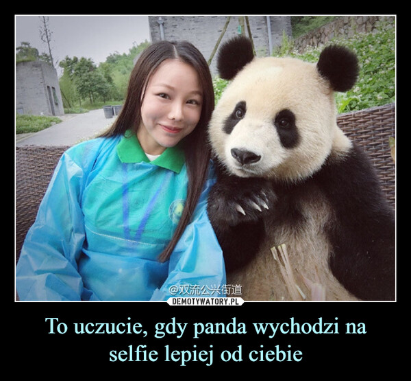 To uczucie, gdy panda wychodzi na selfie lepiej od ciebie