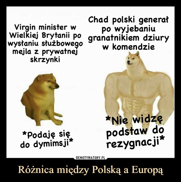 Różnica między Polską a Europą –  Virgin minister wChad polski generatpo wyjebaniuWielkiej Brytanii po granatnikiem dziurywysłaniu służbowegomejla z prywatnejskrzynkiw komendzie*Podaję siędo dymims ji**Nie widzępodstaw dorezygnacji*