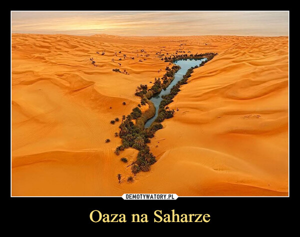 Oaza na Saharze –  