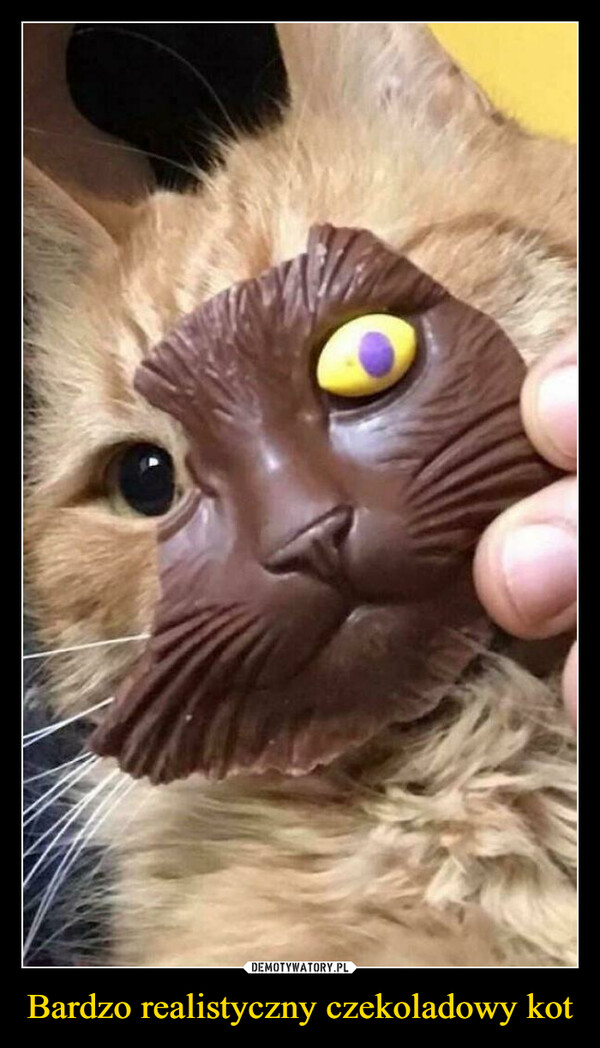 Bardzo realistyczny czekoladowy kot