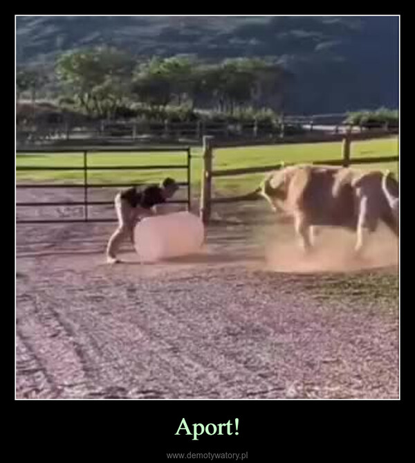 Aport! –  