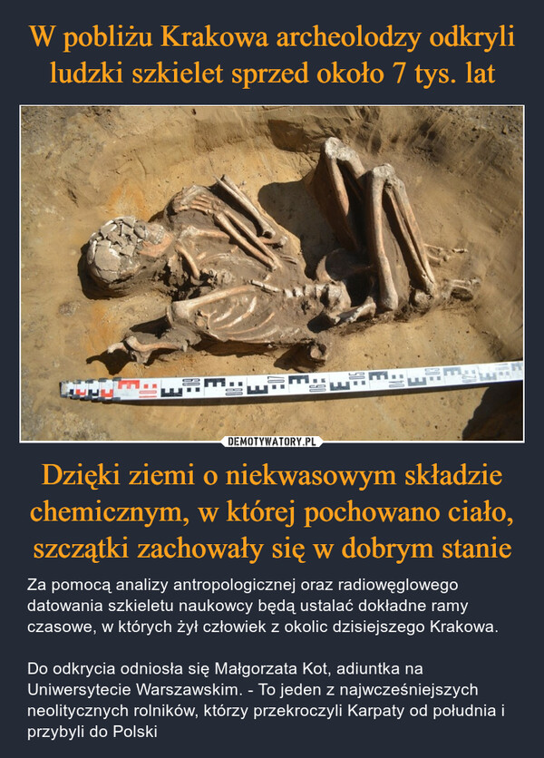 W pobliżu Krakowa archeolodzy odkryli ludzki szkielet sprzed około 7 tys. lat Dzięki ziemi o niekwasowym składzie chemicznym, w której pochowano ciało, szczątki zachowały się w dobrym stanie