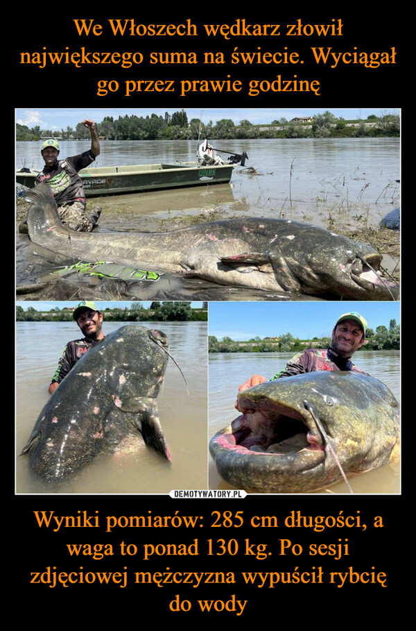 Wyniki pomiarów: 285 cm długości, a waga to ponad 130 kg. Po sesji zdjęciowej mężczyzna wypuścił rybcię do wody –  AVACEJAROKITENROPADDISSA