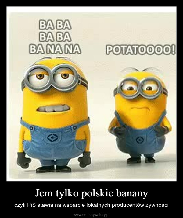 Jem tylko polskie banany – czyli PiS stawia na wsparcie lokalnych producentów żywności BA BABA BABA NA NA9)POTATOOOO!