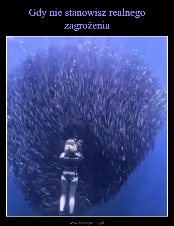  –  