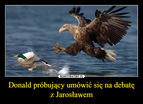 Donald próbujący umówić się na debatę z Jarosławem