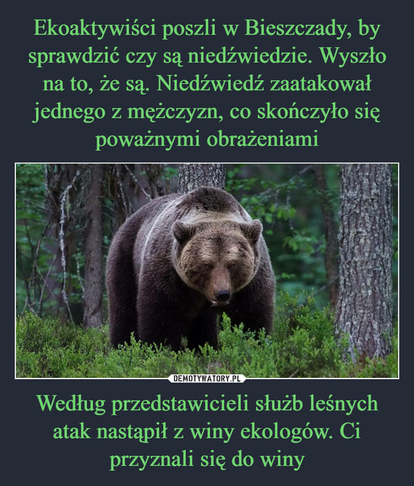 Ekoaktywiści poszli w Bieszczady, by sprawdzić czy są niedźwiedzie. Wyszło na to, że są. Niedźwiedź zaatakował jednego z mężczyzn, co skończyło się poważnymi obrażeniami Według przedstawicieli służb leśnych atak nastąpił z winy ekologów. Ci przyznali się do winy