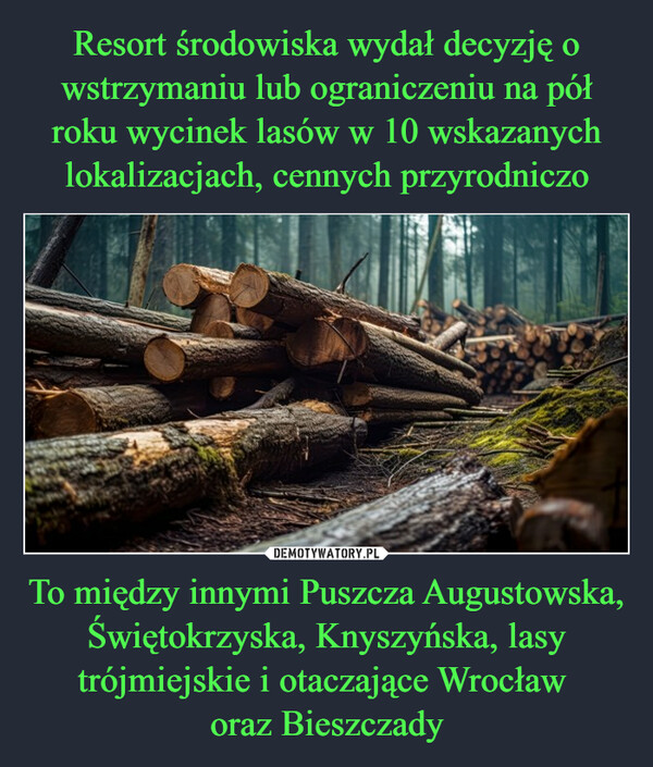 To między innymi Puszcza Augustowska, Świętokrzyska, Knyszyńska, lasy trójmiejskie i otaczające Wrocław oraz Bieszczady –  