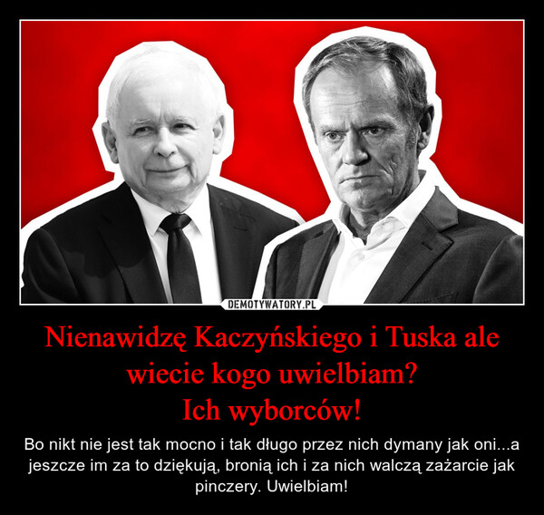 Nienawidzę Kaczyńskiego i Tuska ale wiecie kogo uwielbiam?Ich wyborców! – Bo nikt nie jest tak mocno i tak długo przez nich dymany jak oni...a jeszcze im za to dziękują, bronią ich i za nich walczą zażarcie jak pinczery. Uwielbiam! 