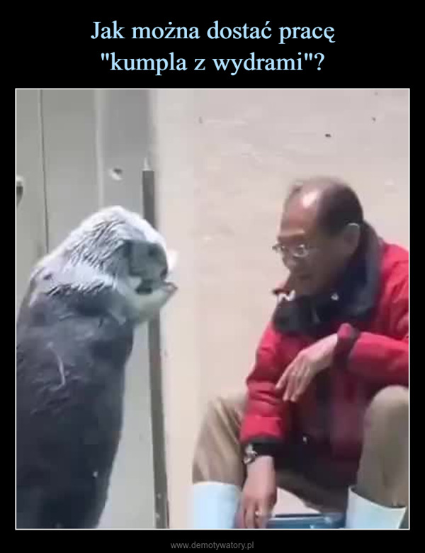  –  CocoFun